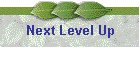 Next Level Up