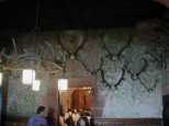 A trophy room of antlers and boars heads