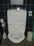 Self cleaning toilet seat