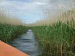 The secret passageway to the Heron zone