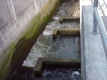 Fish Ladder