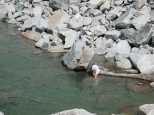 Dorian and Janel take to the rocks as Captain Atmosphere and WaterWoman