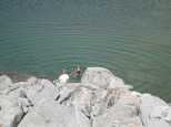 Janel goes swimming..