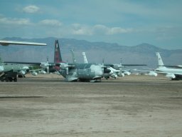 Cargo transports