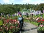 Roses forever..