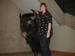 Caroline tames a stuffed buffalo