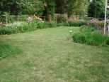 A small back yard with big colors