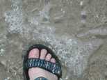 It's official, Caroline crossed the continent ocean to ocean