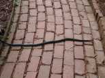 A four foot black snake