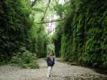 The middle of the Fern Canyon