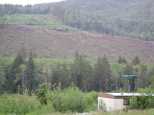 A hillside clearcut