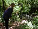 Caroline gets closer to the ragamuffin bird