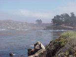 whalers cove