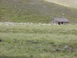 high plains grazing