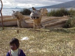 totora reed boats